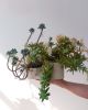 Double Planter | Vases & Vessels by Misewell
