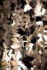 Alan Mizrahi SJ2022 Solar Chandelier | Chandeliers by Alan Mizrahi Lighting Design