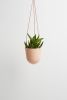 Block Color Hanging Planter | Vases & Vessels by Capra Designs