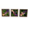 Moss Wall Art, Pressed Flower Art, Preserved Moss Decor | Living Wall in Plants & Landscape by Sarah Montgomery