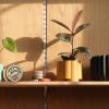 Pillar Planter | Vases & Vessels by Misewell