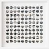 Wildlands | Collage in Paintings by Amelia Coward