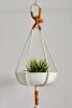 Macrame Plant Hanger, Textile Hanger Sculpture, Handmade | Plants & Landscape by Freefille