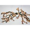 Alan Mizrahi DV3953 Almond | Chandeliers by Alan Mizrahi Lighting Design