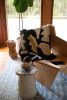 Gozo - Black | Throw Blanket | Linens & Bedding by Upton