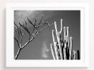 2 best friends | Photography by She Hit Pause. Item composed of paper