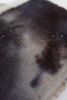 Mercurial | Mixed Media in Paintings by seven | sixteen
