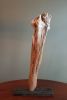 Driftwood Sculpture "Tooth and Nail" | Sculptures by Sculptured By Nature  By John Walker. Item composed of wood in minimalism style