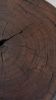 Walnut Blok Round | Stool in Chairs by Simon Silver Designs