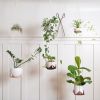Double Leather Plant Hammock | Plant Hanger in Plants & Landscape by Keyaiira | leather + fiber | Artist Studio in Santa Rosa. Item made of cotton with leather