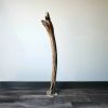 Driftwood Art Sculpture "Beacon" | Sculptures by Sculptured By Nature  By John Walker. Item composed of wood in minimalism style