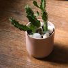 Kolo Planter - 2 sizes | Vases & Vessels by Misewell