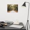 Live Oak Trees and Spanish Moss Roadway Rustic Farmhouse Art | Photography by PIPA Designs