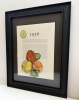 Citrus | Watercolor Painting in Paintings by Grange Home