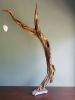 Driftwood Sculpture "Eternal Fruit" | Sculptures by Sculptured By Nature  By John Walker. Item composed of wood in minimalism style