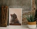 Brigette Squirrel with Walnut Art Print, Woodland Animal Decor, Giclée Fine Art | Prints by The Ugly Cat Studio