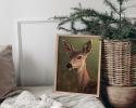 The Deer | Prints by Catherine H