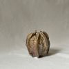 Bud vase .3 | Vases & Vessels by AA Ceramics & Ligthing. Item composed of ceramic