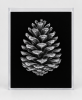 EXPOSED AUTUMN — PINECONE | Decorative Objects by Exposedart