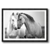 American Dream - Horizontal | Prints by Western Mavrik