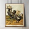 Rooster Art, Vintage Chicken Art, Vintage Rooster Art | Prints by Capricorn Press. Item composed of paper compatible with boho and minimalism style