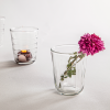 Short Glasses Set of 6 | Drinkware by The Collective