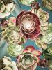 Santa Monica Succulents Photomontage- 4 Versions | Photography by Joanie Landau