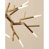 Alan Mizrahi WM2088 Acropora | Chandeliers by Alan Mizrahi Lighting Design