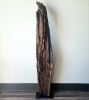 Large Driftwood Sculpture Art Object "Gaping Undulation" | Sculptures by Sculptured By Nature  By John Walker