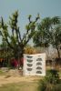 Plentiful Quilt | Linens & Bedding by CQC LA. Item made of cotton
