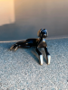 Lounging Dog 2.5 | Sculptures by YENNY COCQ