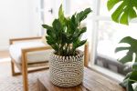 Coiled Storage Basket |Stripe Noir | Storage by NEEPA HUT