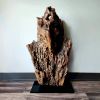 Art Sculpture Tree Trunk Section Archaic Ingrained Arrowhead | Sculptures by Sculptured By Nature  By John Walker. Item composed of wood in minimalism style