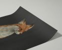 The Woodland Fox - Black Edition | Prints by The Ugly Cat Studio