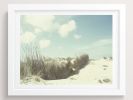 Silent Pales | Photography by She Hit Pause. Item composed of paper