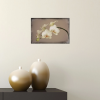 Orchid | Photography by Louise O'Gorman