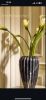 Handmade Rosso Levanto Marble Vase – Fluted Red Stone Decor | Vases & Vessels by AEGEAN MARBLE ARTISAN ATELIER