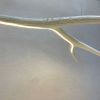 Elk Antler Linear Suspension - White | Pendants by Farmhaus + Co.. Item made of synthetic