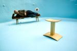 AILE Stool | Chairs by VANDENHEEDE FURNITURE-ART-DESIGN. Item made of maple wood works with minimalism & japandi style