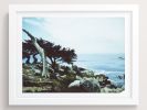 She Claimed This View Her Favorite (California) | Photography by She Hit Pause. Item composed of paper