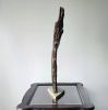 Tree Bark Driftwood Art Sculpture "Crusty Cusp" | Sculptures by Sculptured By Nature  By John Walker. Item made of wood works with minimalism style