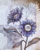 Sunflower | Mixed Media in Paintings by Kathy Ferguson Art