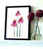 Echinacea | Prints by Brazen Edwards Artist. Item made of canvas with paper