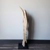 Rustic Driftwood Art Sculpture "Feathered" | Sculptures by Sculptured By Nature  By John Walker. Item composed of wood in minimalism style