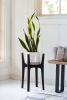 Arcus plant stand | Plants & Landscape by Almon Woodcraft