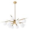 Alan Mizrahi WM2074 Venezia | Chandeliers by Alan Mizrahi Lighting Design