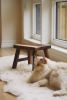 Live Edge Stool | Chairs by ROOM-3. Item made of walnut