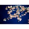 Alan Mizrahi DV3953 Almond | Chandeliers by Alan Mizrahi Lighting Design
