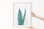 Set of two minimalist succulent prints, "Agave Study Pair I" | Photography by PappasBland. Item composed of paper in minimalism or contemporary style
