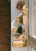 Birdseye Maple Short Brush | Bench Brush | Tampico | Sweeper | Decorative Objects by S W E V E N